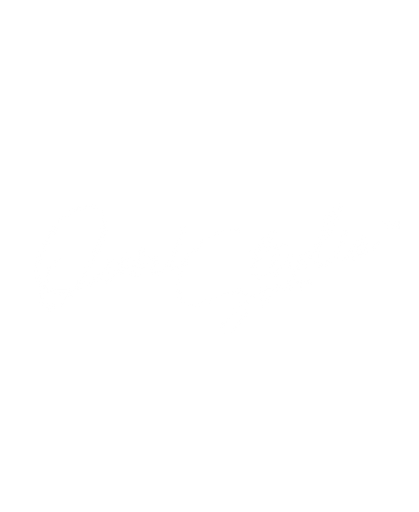 OvniStudio Signature